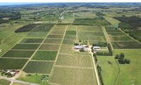 Viñedos y Bodega Gamba en Sauce (Canelones)